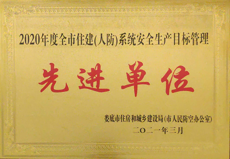 2020���ȫ��ס��ϵ�y(t��ng)��ȫ���aĿ�˹������M��λ